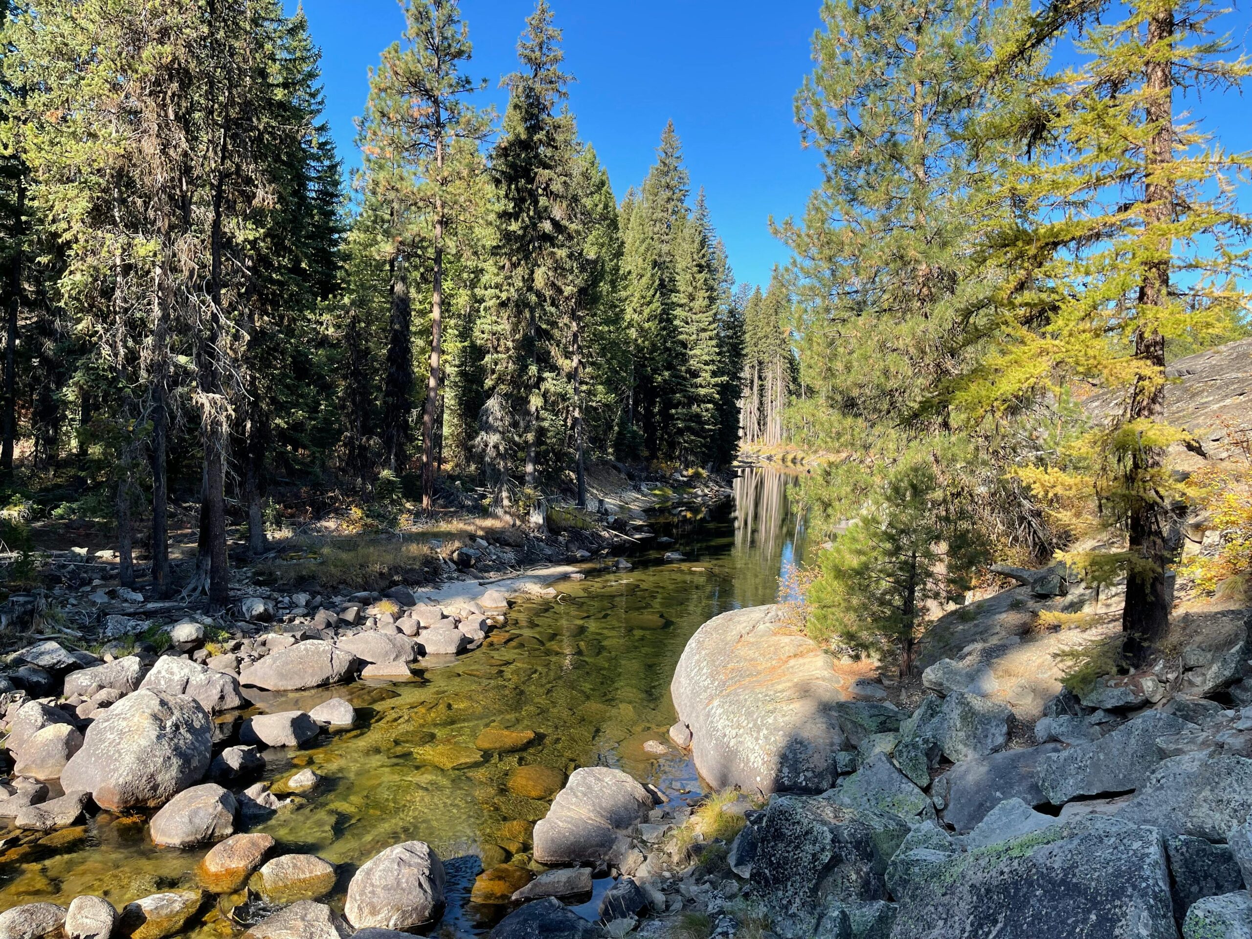 Peaceful river flowing through forest with rocks and trees in McCall, Idaho.