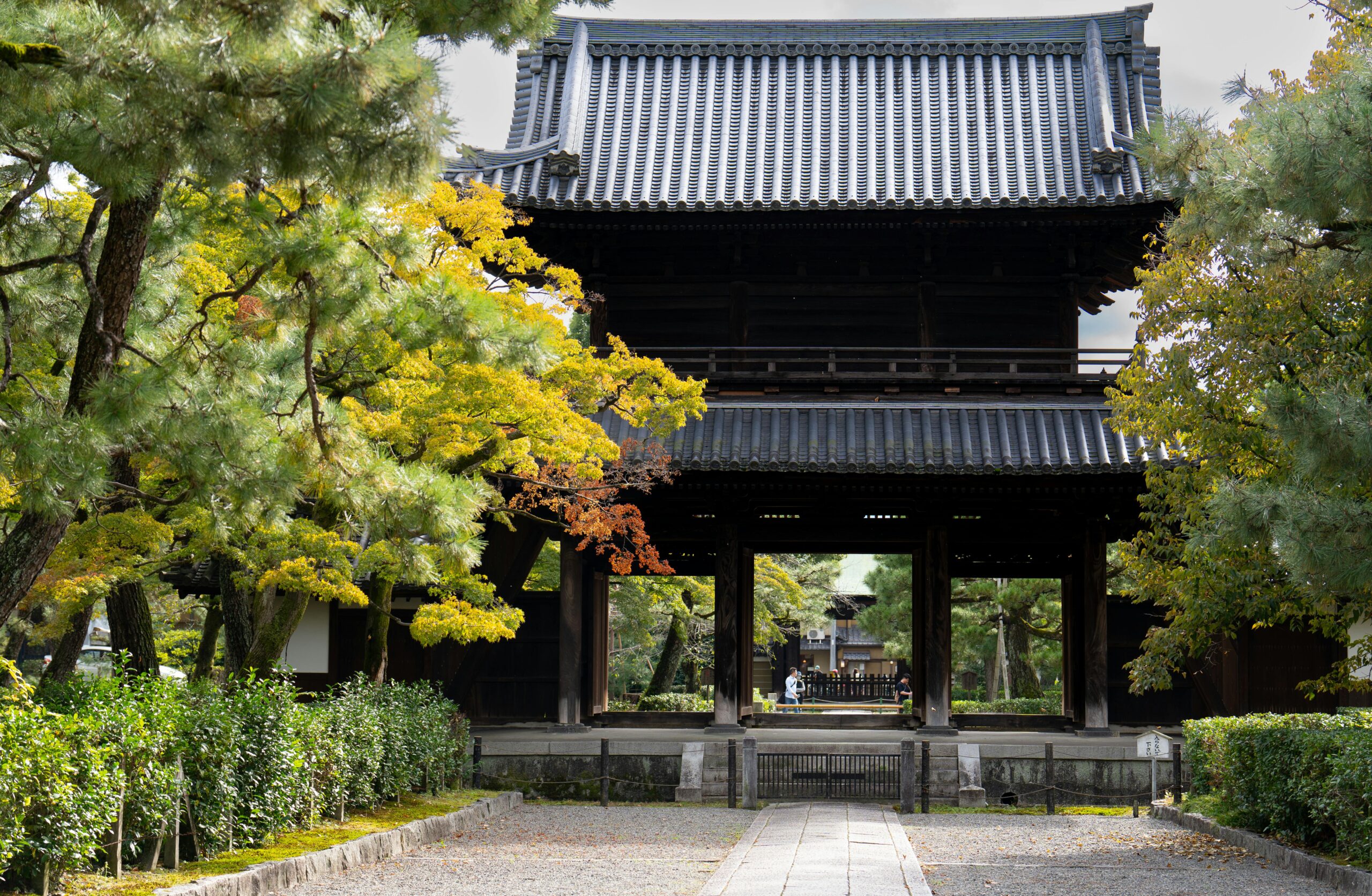 Authentic Japanese temple gate framed by vibrant autumn foliage, showcasing cultural heritage.