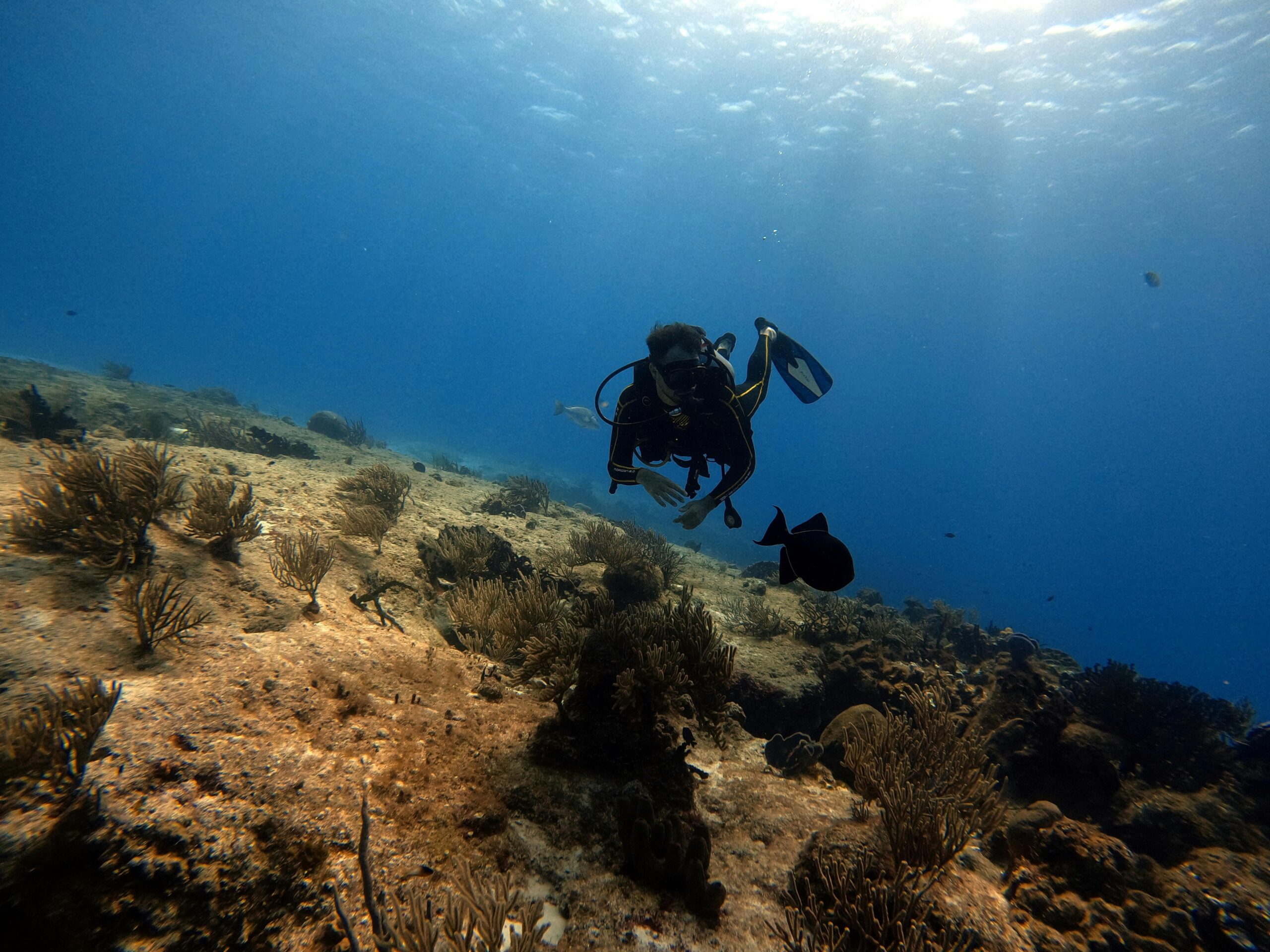 Scuba diver exploring the vibrant marine life and coral reefs of Cozumel, Mexico.