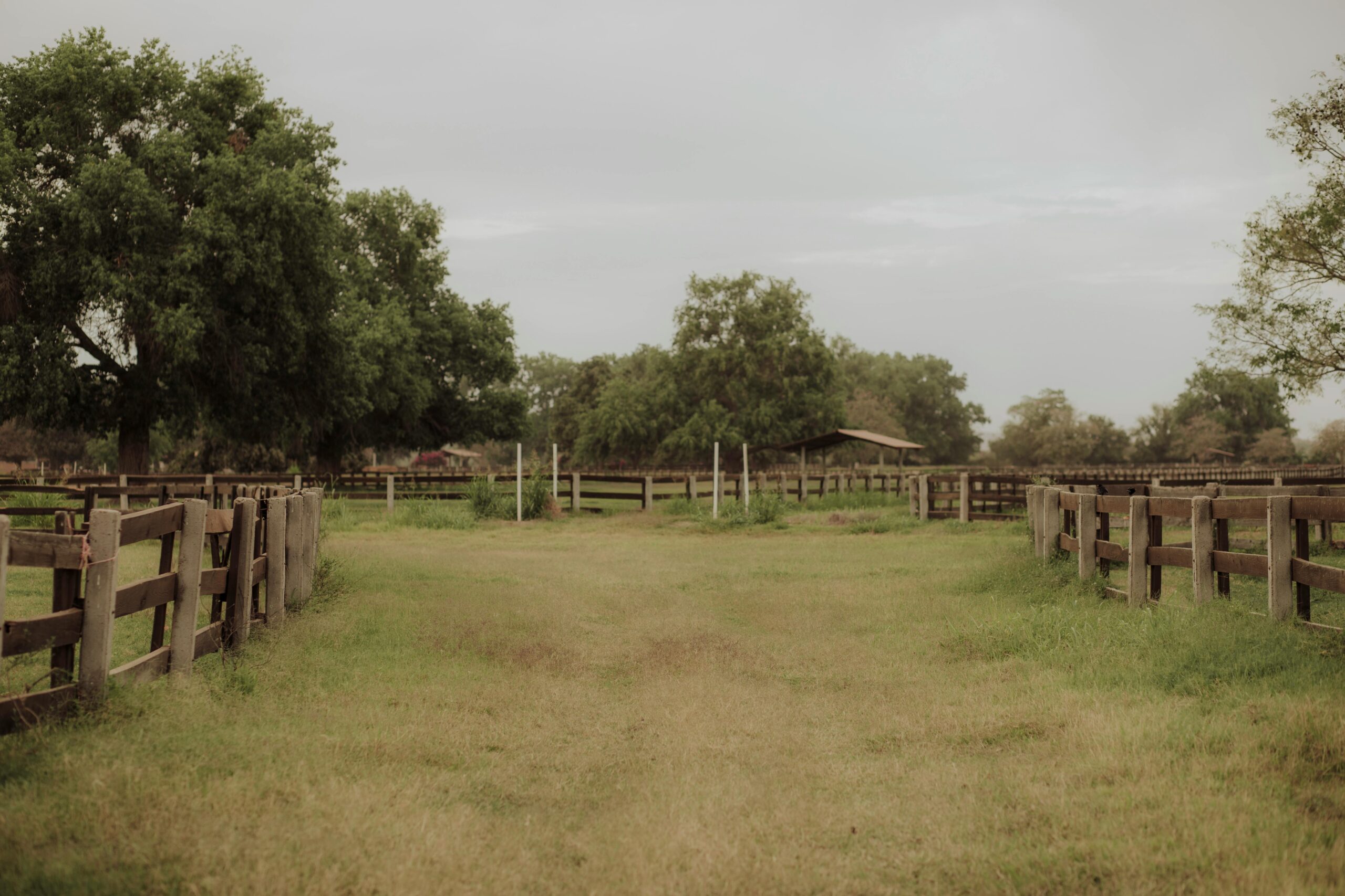 Serene view of an empty ranch with wooden fences and lush green trees under a cloudy sky.