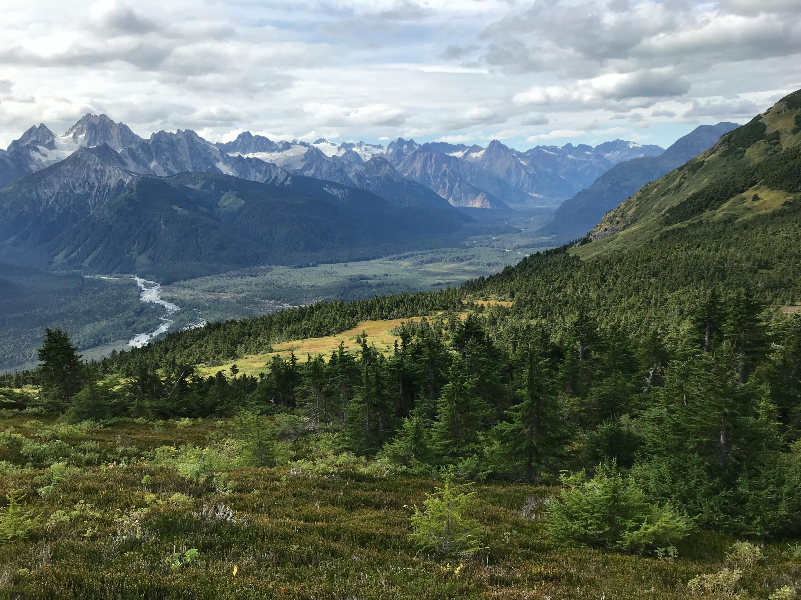 Stunning view of lush forests and mountain peaks in Haines, Alaska, under a cloudy sky.